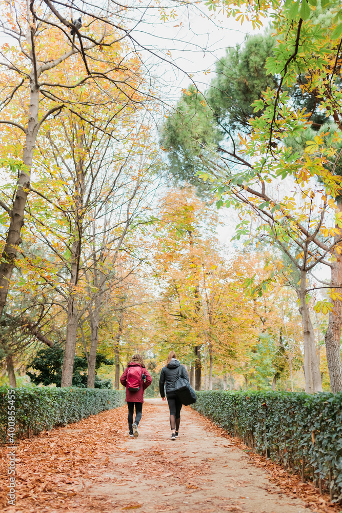 Mid adult women walking together on footpath amidst plants and trees at park during autumn Mid adult women walking together on footpath amidst plants and trees at park during autumn
