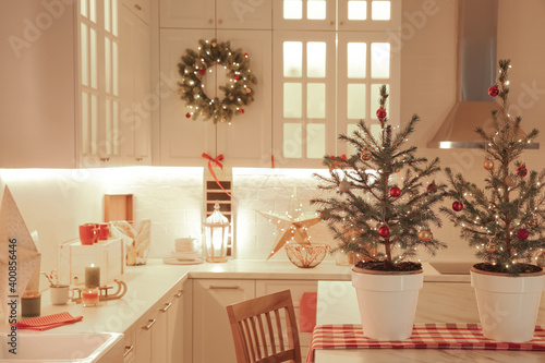 Small Christmas trees and festive decor in kitchen © New Africa