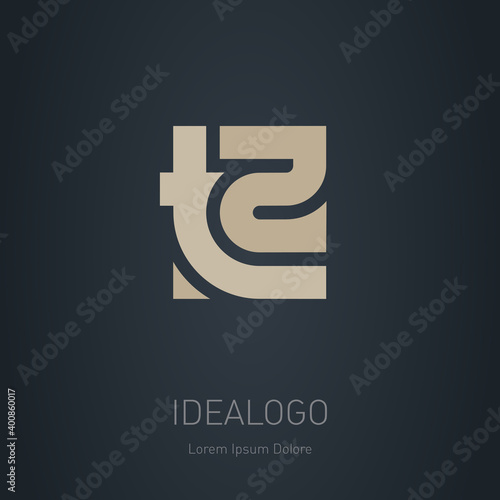 T2 - logotype, design element or icon. Vector monogram. T and 2 logo.