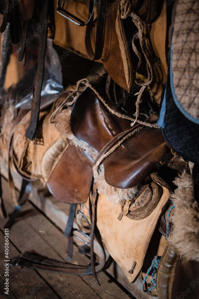 Dressage horse equipment, leather saddles and stirrups hang beautifully on a special wall. Dressage horse equipment, leather saddles and stirrups hang beautifully on a special wall.
