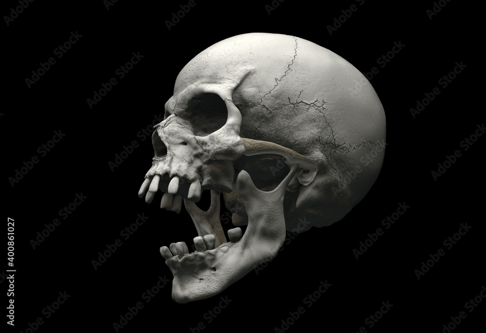 Human skull with an open lower jaw on a Black isolated background. The concept of death, immortality, eternal life, horror. Acult symbol. Spooky Halloween symbol. 3D render Human skull with an open lower jaw on a Black isolated background. The concept of death, immortality, eternal life, horror. Acult symbol. Spooky Halloween symbol. 3D render