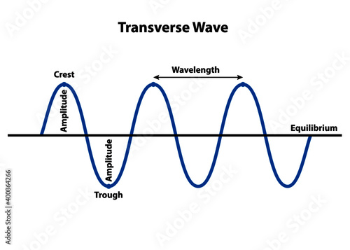 Transverse wave with properties of structure and form showing crest, trough, wavelength, amplitude, and equilibrium. photo