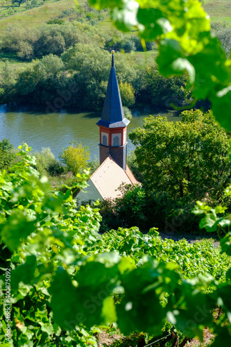 Church surrounded with vineyards photo