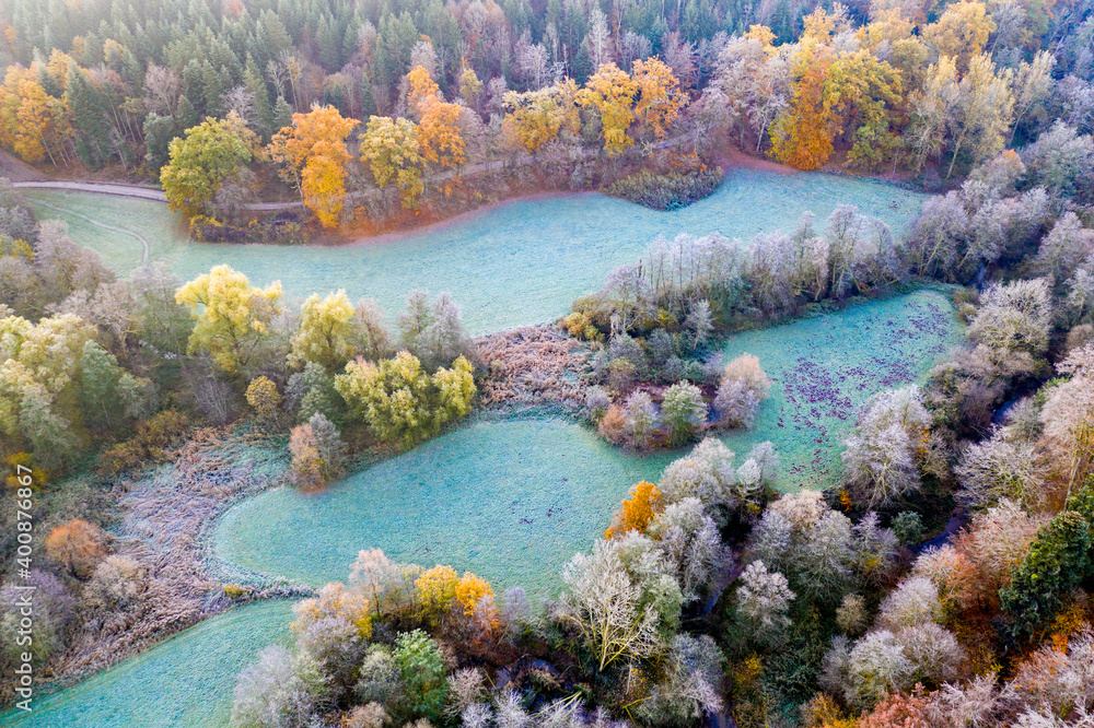 Drone view of turquoise patches of grass in autumn forest at dawn Drone view of turquoise patches of grass in autumn forest at dawn