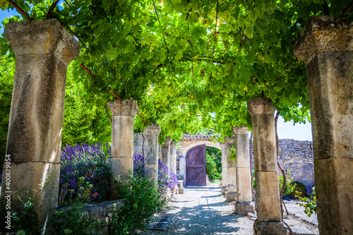 The lavender garden of the old abbey of Abbaye de Saint-Hilaire in Provence, France photo