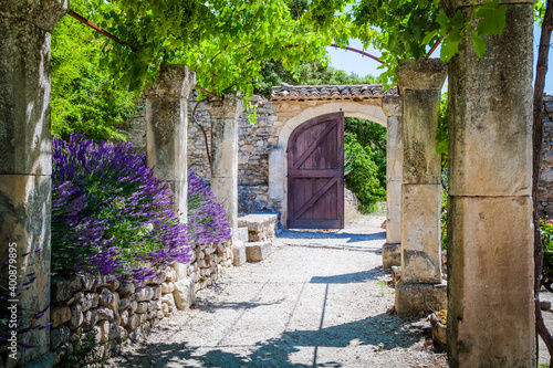 The lavender garden of the old abbey of Abbaye de Saint-Hilaire in Provence, France photo
