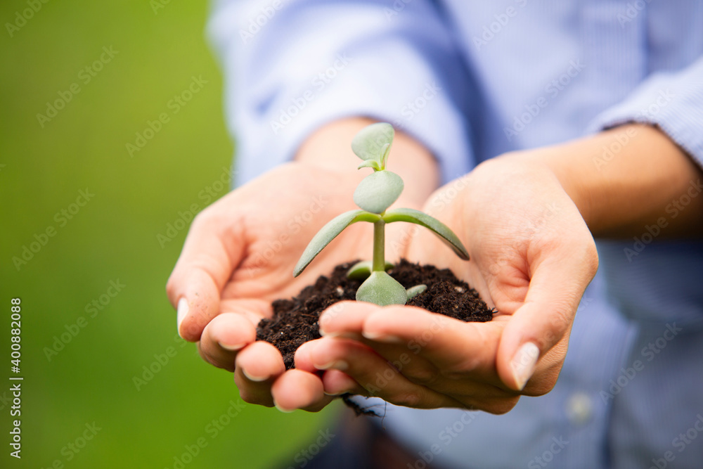 Close-up of female professional holding sapling Close-up of female professional holding sapling