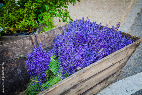Bushes of lavender for sale in a traditional shop in Provence, France