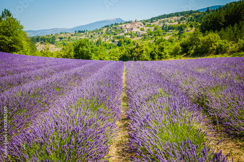 Scenic view of the ancient village of Aurel, Provence, France