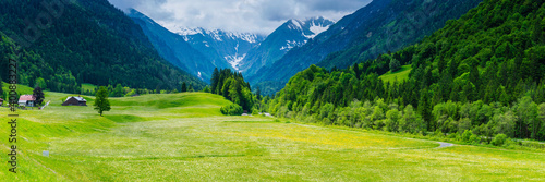 Germany, Bavaria, Allgau, Oberallgau, Trettachtal, Alpine meadow photo