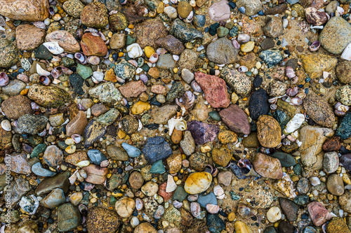 Colorful beach stones and shells 