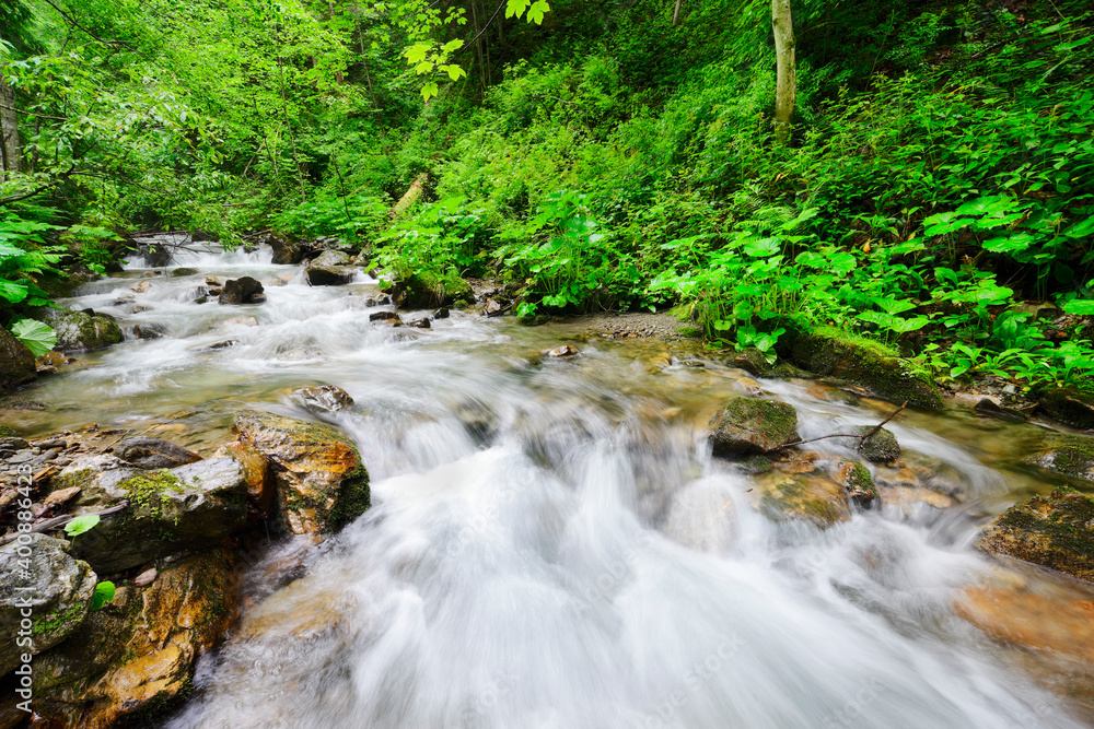 Ukraine, Zakarpattia, Rakhiv district, Carpathians, Stream in forest Ukraine, Zakarpattia, Rakhiv district, Carpathians, Stream in forest