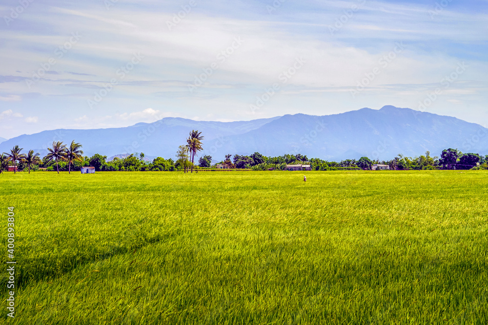 Green Field