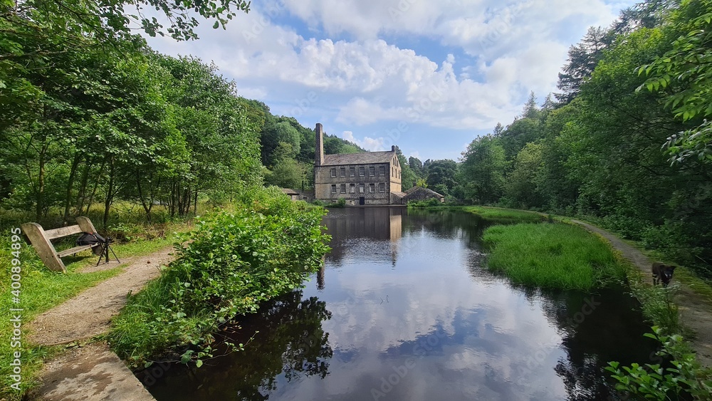 Fototapeta premium Mill in the forest