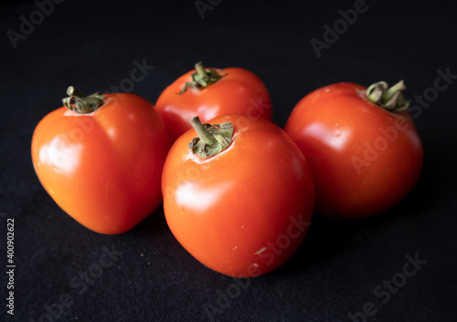 a collection of several tomato photos photo