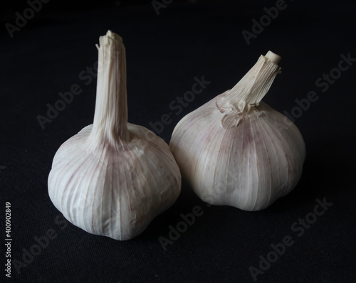 photo of two pieces of garlic photo
