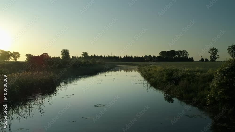 White swans float on river waters running through countryside. Drone pov forward White swans float on river waters running through countryside. Drone pov forward