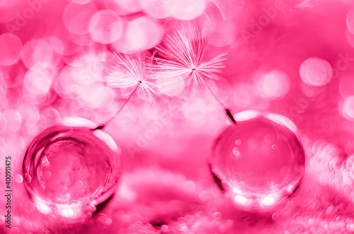 Abstract pink background with dandelion flaffs for Valentine day