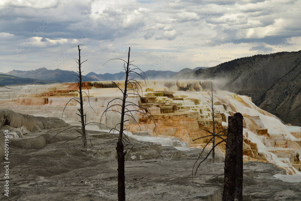 Cinnamon Roll Hydrothermal Features Yellowstone National Park, Wyoming Cinnamon Roll Hydrothermal Features Yellowstone National Park, Wyoming