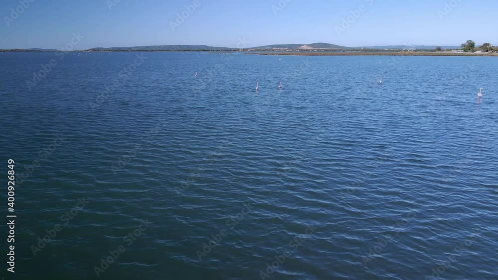 Aerial shots from a drone of a group of flamingos in a protected pond in southeast France. Aerial shots from a drone of a group of flamingos in a protected pond in southeast France.
