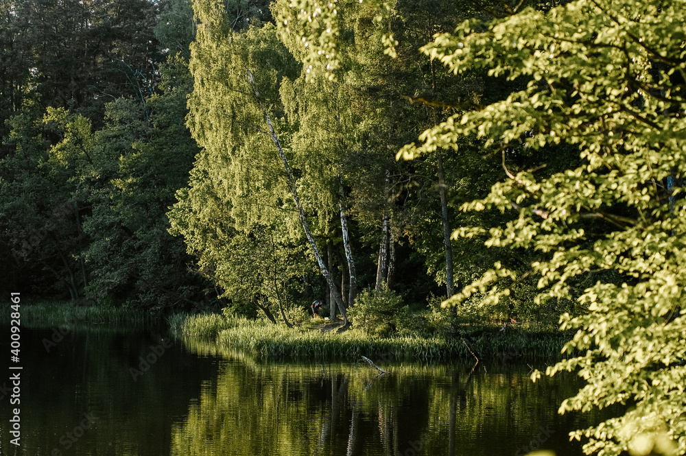 Krajobraz widok jeziora mokradeł rozlewiska z linią brzegową i wyspą z drzewami Krajobraz widok jeziora mokradeł rozlewiska z linią brzegową i wyspą z drzewami