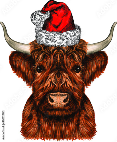 the bull's head animal vector illustration