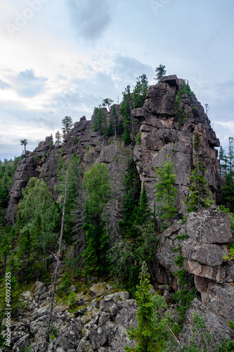 rock in the forest