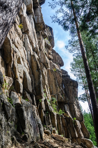 rock in the forest