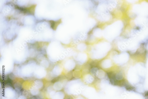 Abstract natural bokeh background