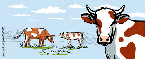 Cows walk on the lawn in the background of the village. Clouds in the sky. Stylish horizontal illustration in a delicate blue color. For packaging design. Vector.
