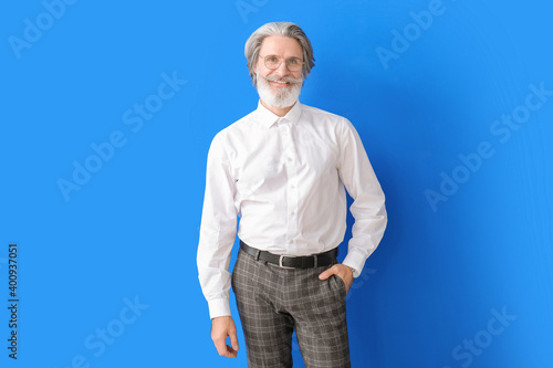 Portrait of senior business...
