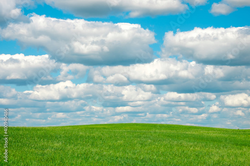 cumulus clouds over a green field on a summer day