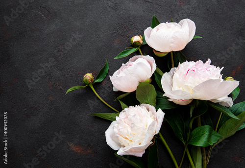 Peony flowers on a black concrete background