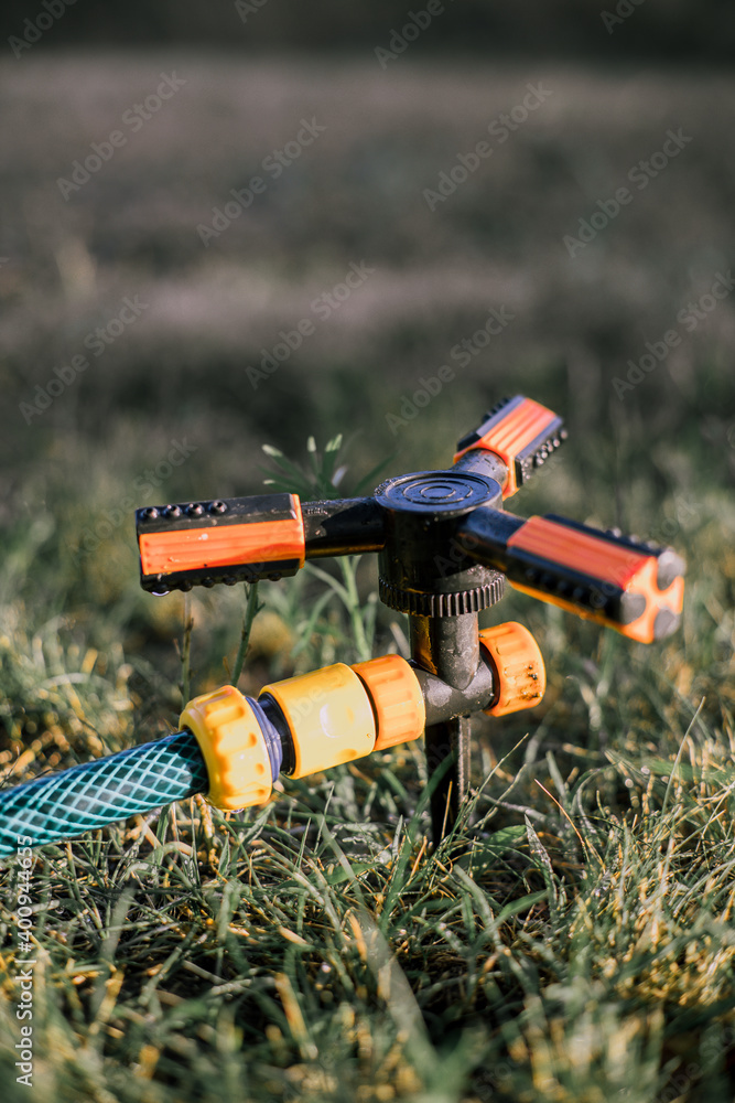 Naklejka premium Drip irrigation. The photo shows the irrigation system in a raised bed. Drip irrigation on a green lawn on a sunny day. The rays of the sun through the drops. Lawn watering device