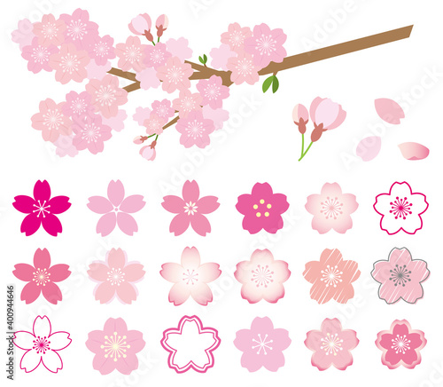 桜のアイコンと枝のセットイラスト　Cherry blossoms  icon  sakura
