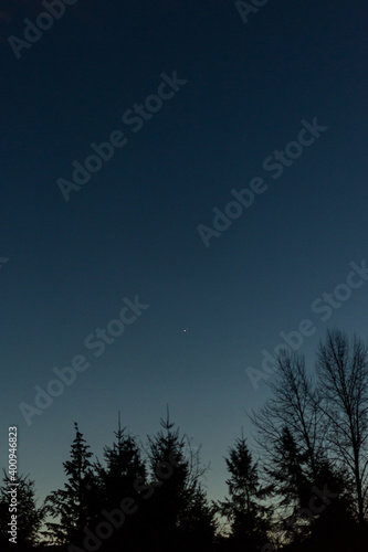 Great conjunction of Jupiter and Saturn with silhouetted trees in the foreground on the Winter Solstice, December 21st, 2020