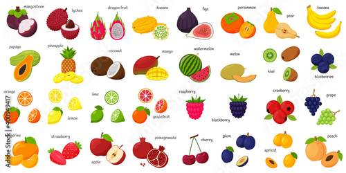 A large set of tropical, exotic, citrus fruits with names. Fruit and berry icons. Whole fruit, half cut and slices. Huge collection.Flat . Color vector illustration. Design elements isolated on white.