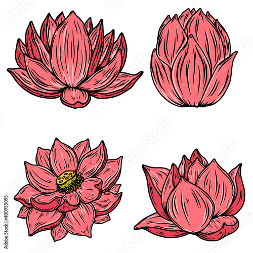 Set of illustrations of lotus flower in engraving style. Design element for poster, card, banner, sign. Vector illustration