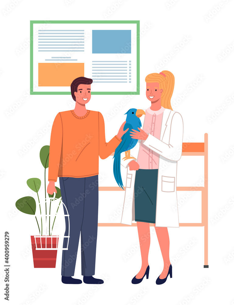 The veterinarian holds a parrot in her hands. The owner petting the pet in the veterinary clinic. Domestic animals treatment concept. Veterinary professional consultation. People with a colorful bird