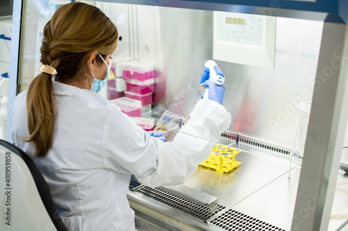 Wallpaper Mural Labormitarbeiterin an der Sicherheitswerkbank im Zellkulturlabor, Arbeitsschutz beim Arbeiten mit Pipette und Zellkulturen . Torontodigital.ca