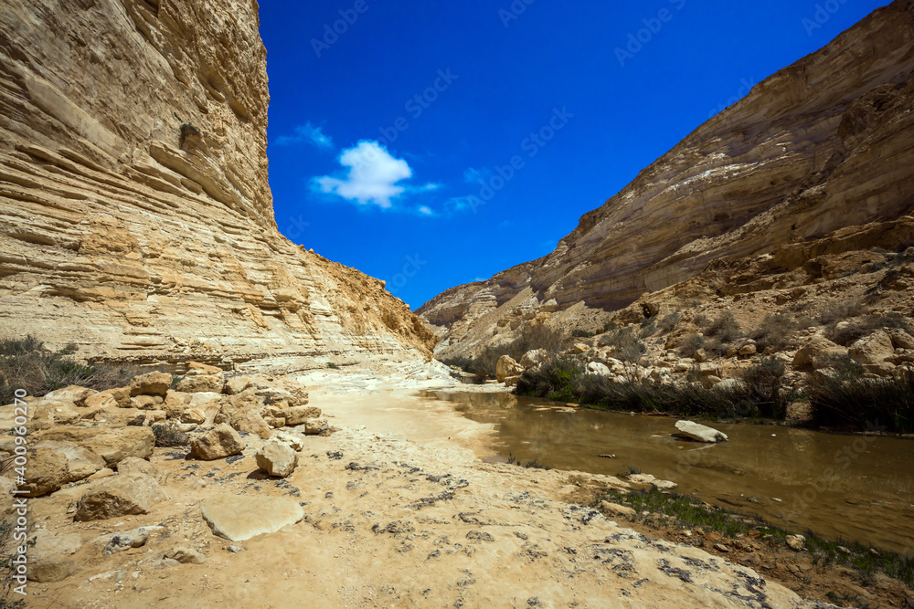 The canyon in the desert