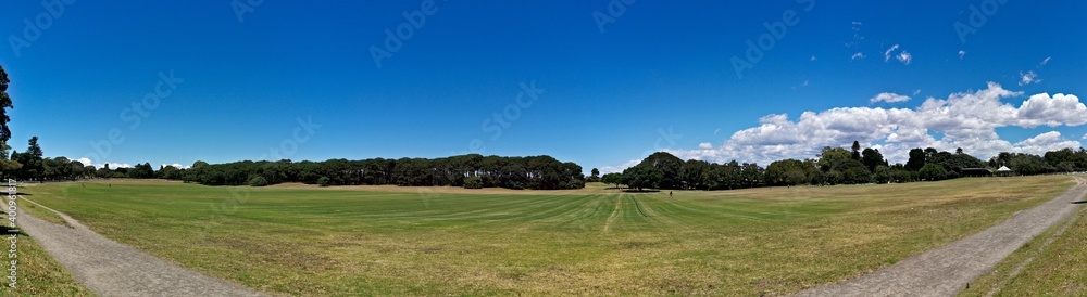 Obraz premium Beautiful panoramic view of a public park with green grass, tall trees and deep blue sky in the background, Centennial park, Sydney, New South Wales, Australia 