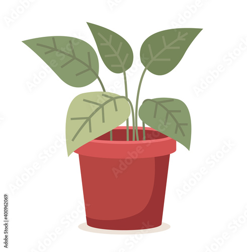 Green plant in red ceramic flower pot. Planting isolated on white background vector illustration. Light green leaves directed in opposite sides with different shades. A brown pot for a live plant