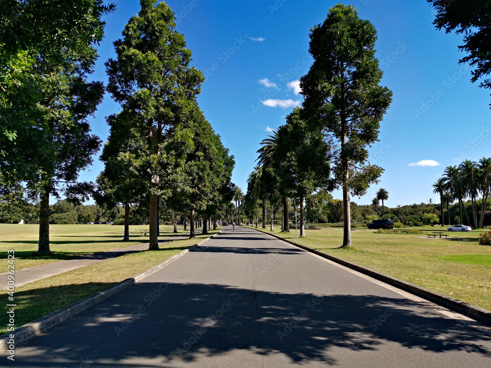 Beautiful view of a public park with green grass, tall trees and deep blue sky in the background, Centennial park, Sydney, New South Wales, Australia
Beautiful view of a public park with green grass, tall trees and deep blue sky in the background, Centennial park, Sydney, New South Wales, Australia