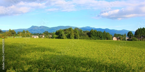 箱根の山を静岡県小山町から望む