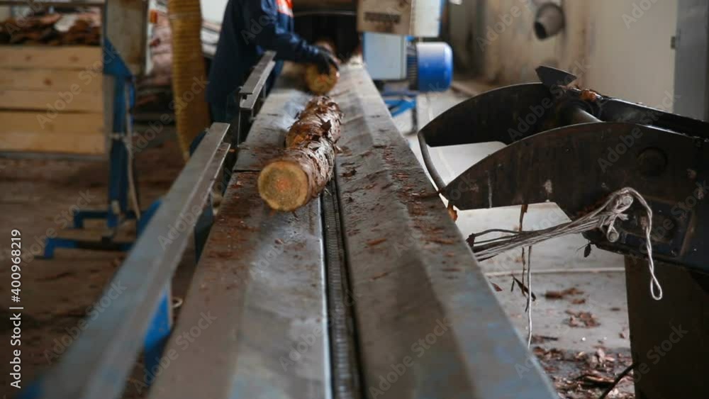 round timber logs preparation sorting processing at sawmill round timber logs preparation sorting processing at sawmill