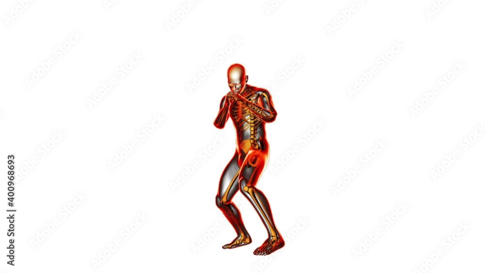 Athlete boxing seamless loop, x-ray render, white background Athlete boxing seamless loop, x-ray render, white background