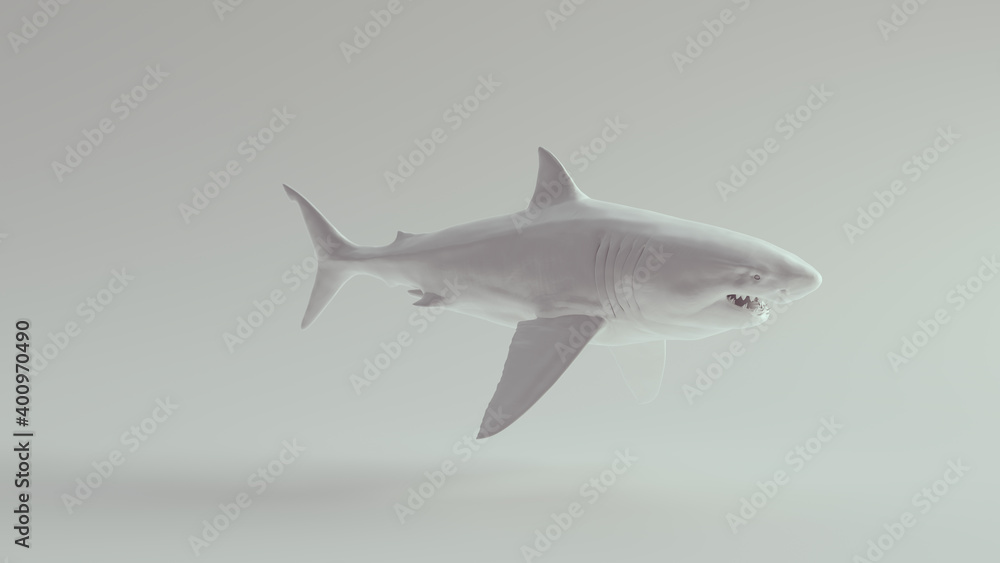 Fototapeta premium Great White Shark Pure White 3d illustration render