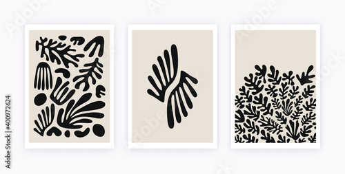 Abstract coral posters. Contemporary minimalist organic shapes corals Matisse style. Vector graphic illustration photo