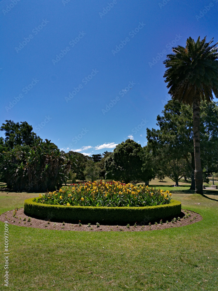 Beautiful view of a garden with flowers and plants in the park, Centennial park, Sydney, New south Wales, Australia
